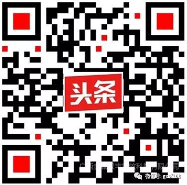 在农村养殖竹鼠有发展前途吗,在家养竹鼠有什么前景