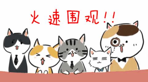 「ECCFC」这群人疯了！不但教我怎么致富，还硬要给我塞礼物