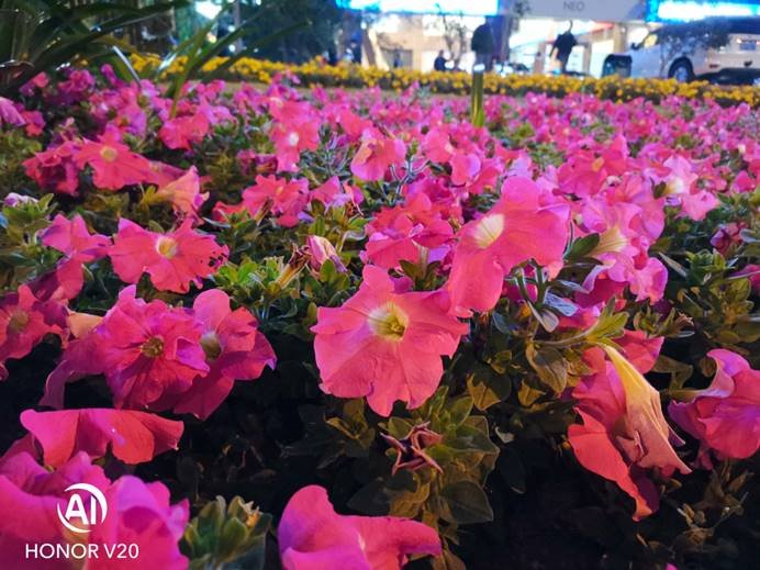 科技标杆荣耀v20不完全体验,说一说优缺点荣耀v20全方位评测