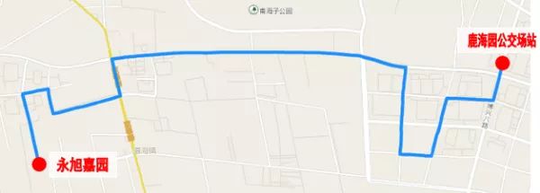 北京19路公交线路调整,冬奥北京公交线路调整