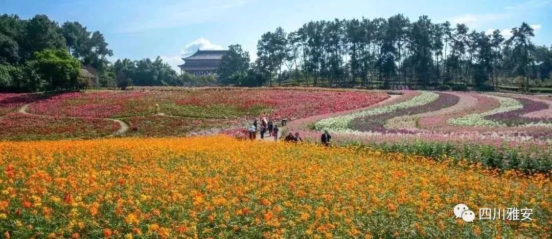 「火车终于通了」有人已经买到票，票价52/83，请下单！（久等了）