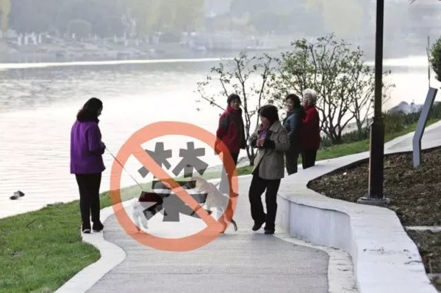苏州养狗最新规定,苏州养狗新规范围