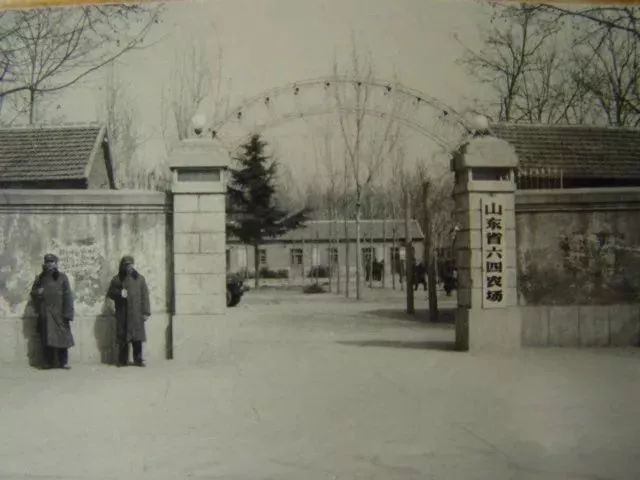 改革开放四十年监狱系统,监狱纪念改革40周年图片