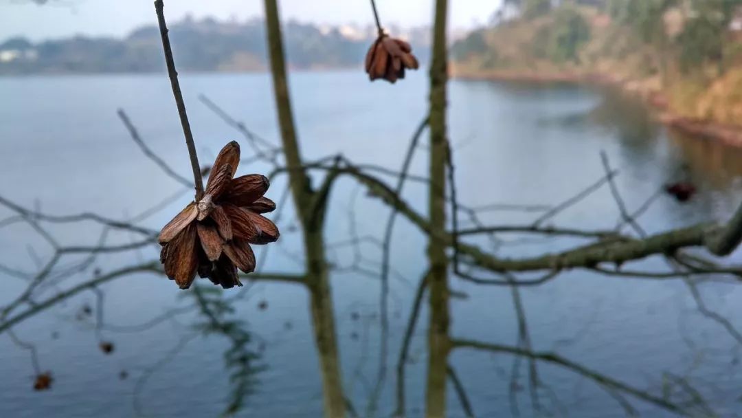 感觉到压力和束缚感,摆脱束缚才是掌控人生的第一步