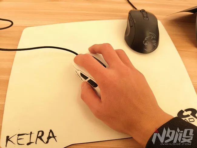 白冰豹子,黑冰和白冰视频