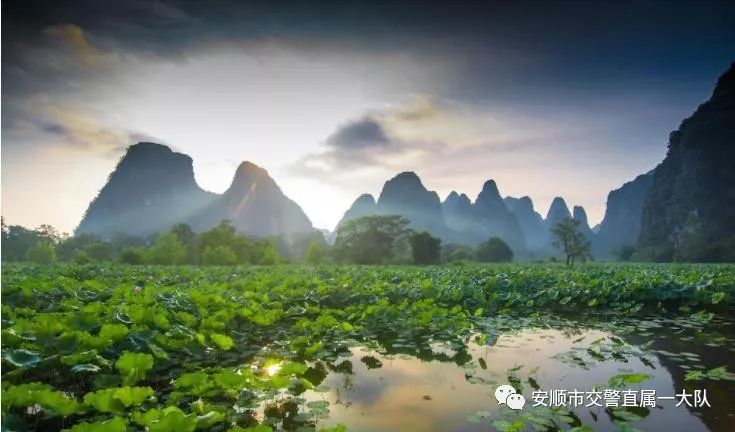 交警发布端午节两公布一提示,安顺五一最新消息