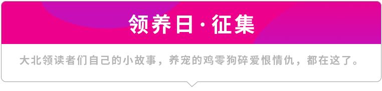 高萌来袭!真小奶猫小奶狗!|毛孩子的童年有多奶?