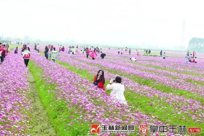 玉州：争先进位一路高歌