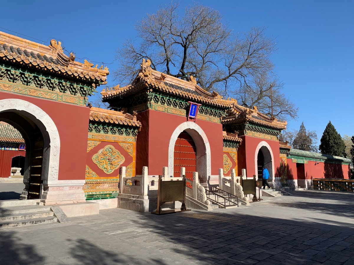 苹果xr主要是哪个摄像头拍照,苹果xr到苹果15前后置摄像头