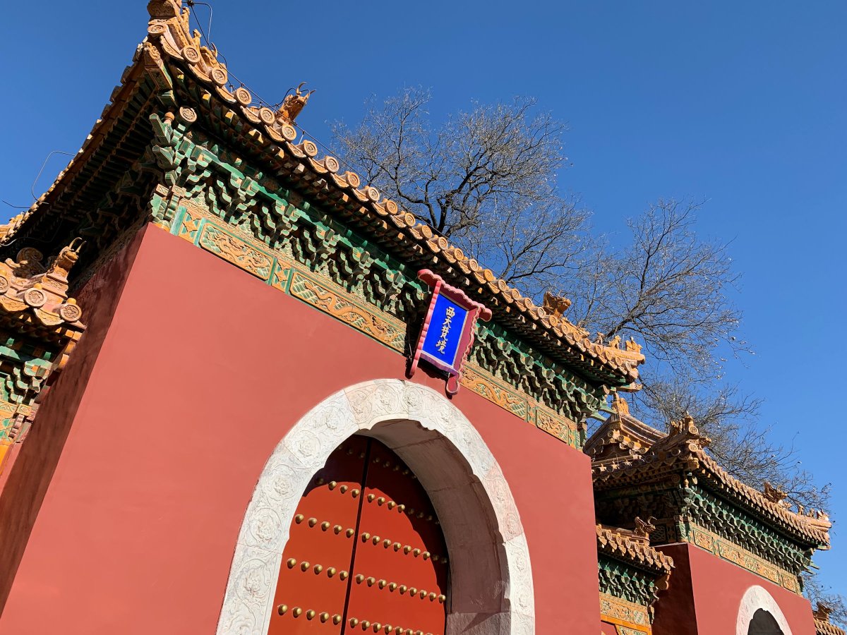 苹果xr主要是哪个摄像头拍照,苹果xr到苹果15前后置摄像头