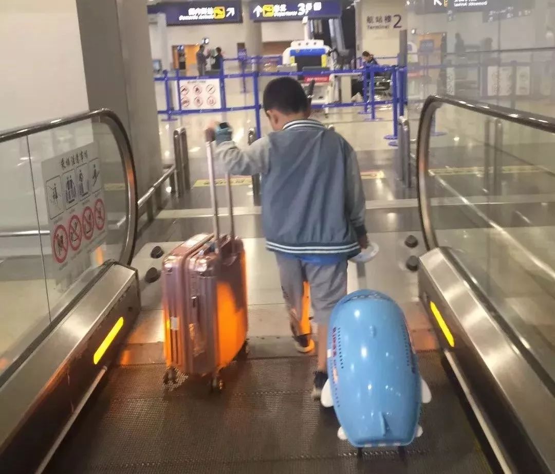 2018，我来过2019，你好｜中国日报X瞬间MomentX