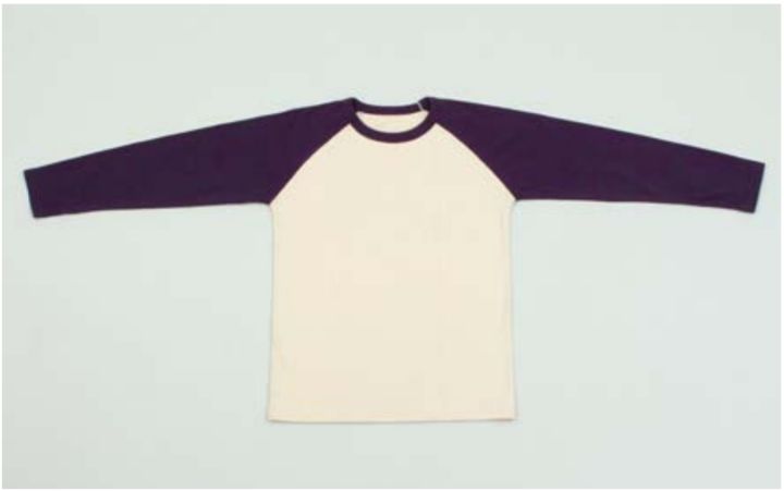 世田谷一家灭门案,世田谷一家灭门悬案凶手