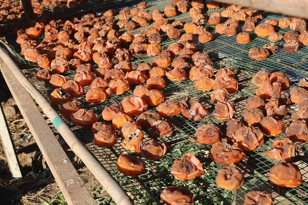 玩的地方推荐三天游,三天两夜旅游强推