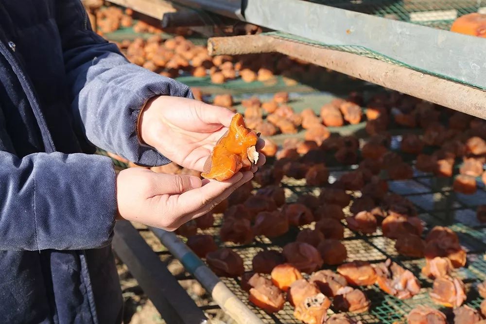 玩的地方推荐三天游,附近旅游攻略三天游