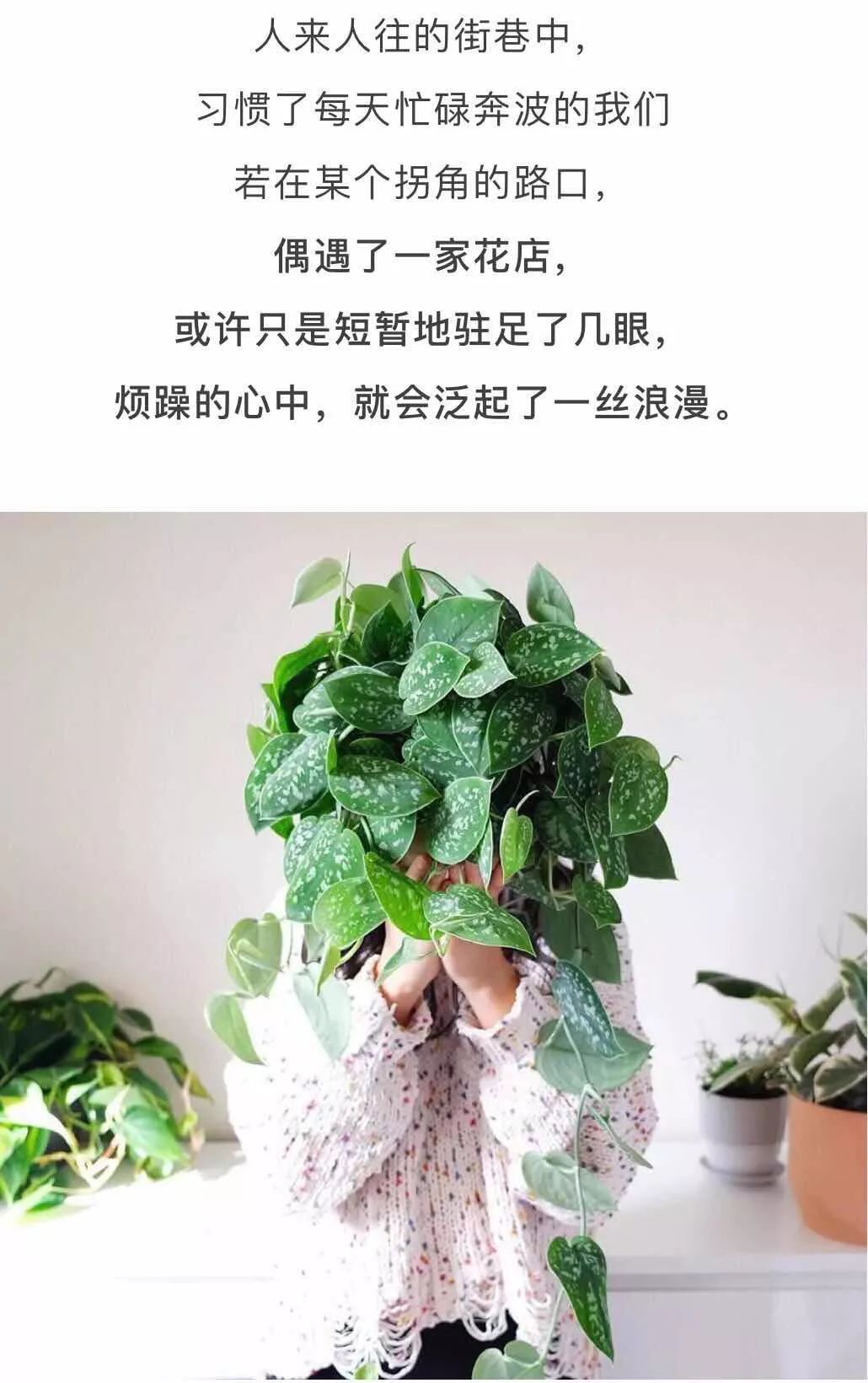 北京才女徐静蕾,徐静蕾李亚鹏北京台