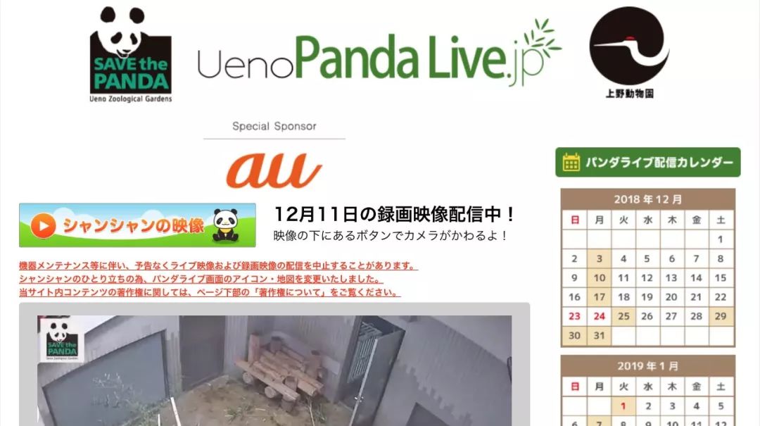 老外到底多喜欢熊猫,老外看中国大熊猫