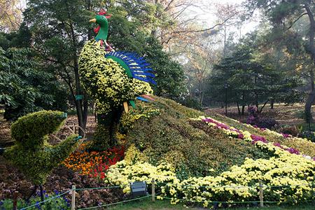 杭州拍婚纱照风格推荐,杭州欧式婚纱照需要准备什么