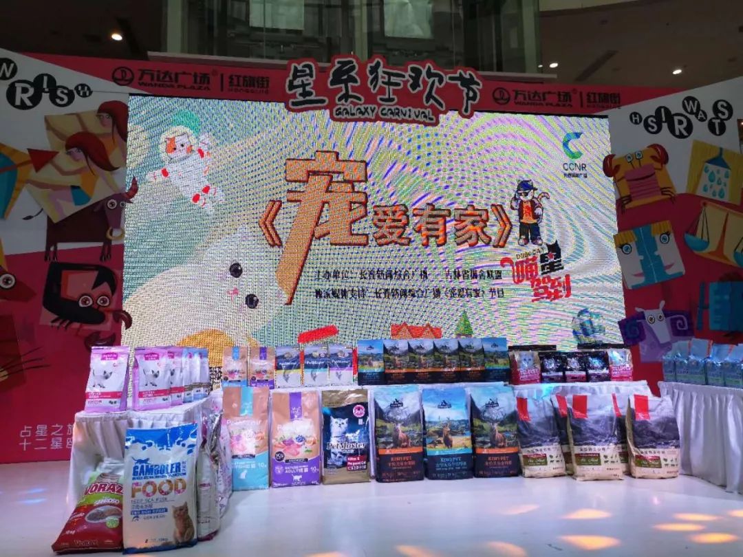 新闻综合广播｜「宠爱有家」之喵星驾到