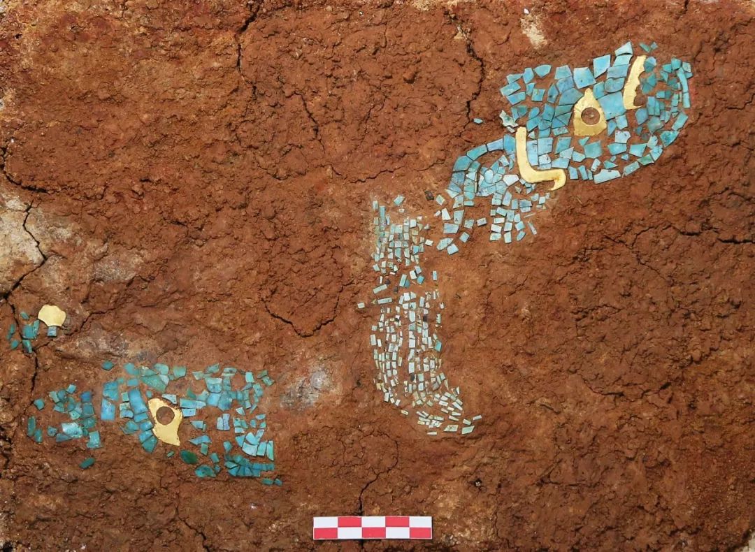 一些武汉的好消息,好消息湖北武汉