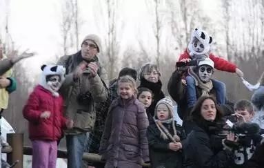 老外多爱猫咪,老外多爱中国