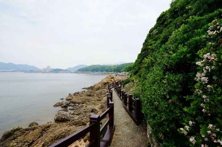 家门口离海最近的酒店，包别墅、吃海鲜畅快过冬，特惠买一送一！