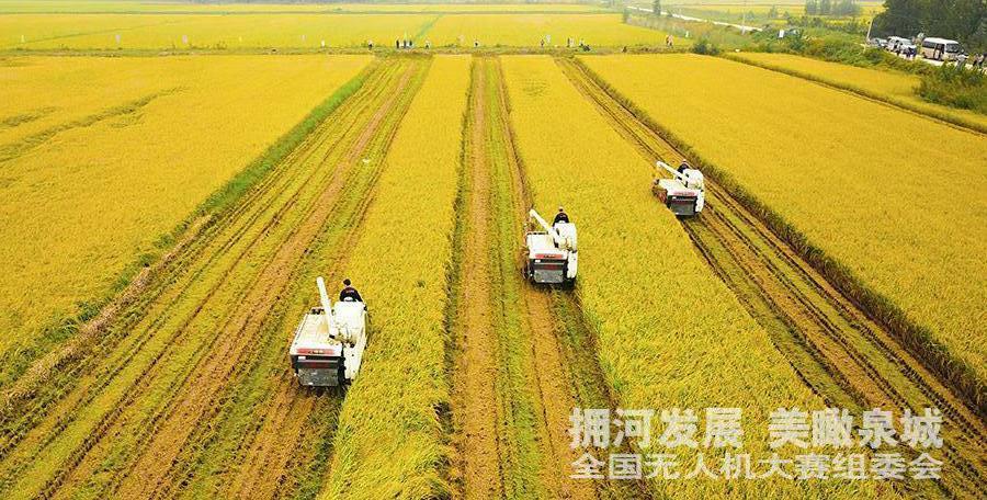 农村土地经营模式改革探讨,深化农村土地改革的政策与策略