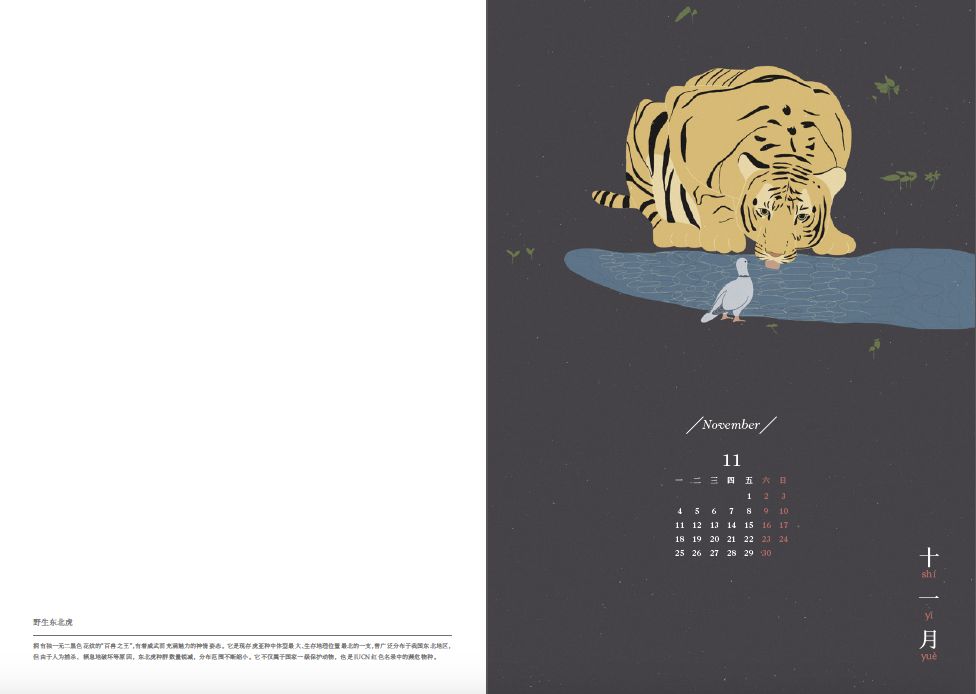 2019年乐活手帐（记事本）免费送，你收到了吗？