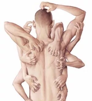 杏林微科普全集,杏林微科普养生方法