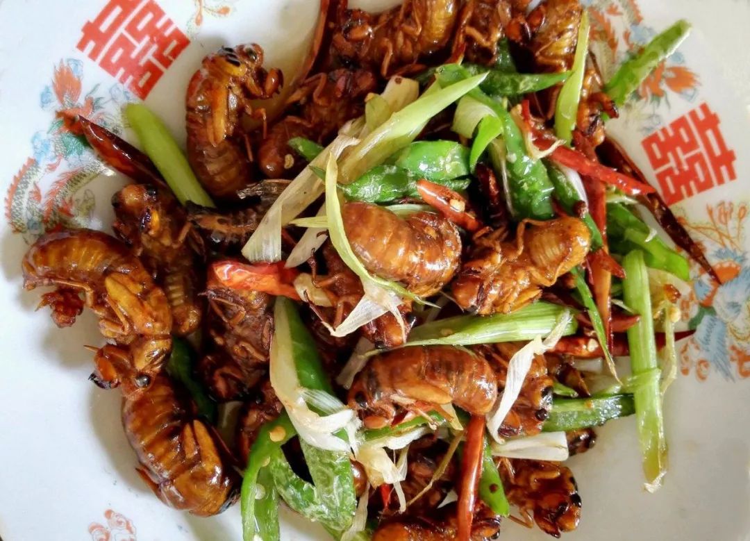 最具幸福感的县级市中唯一一座上榜的北方小城，光是海鲜就能吃到你激灵！