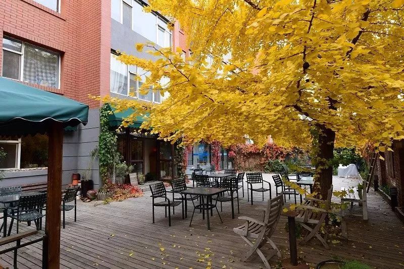 长春免费景点大全集图片,长春市最值得玩的景点排名前十