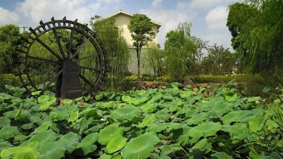 去处｜个记结棍了！上海这个古镇被国家点名，目测要火！