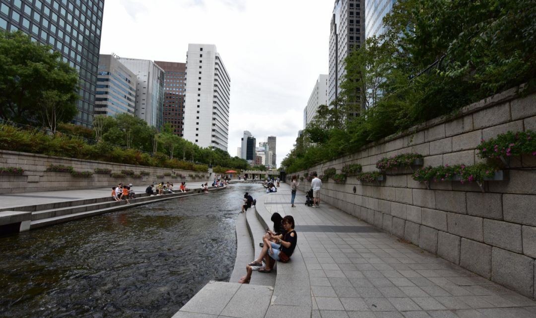 园林大讲堂｜清溪川：韩国人最引以为傲的生态改造项目