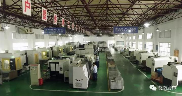 苍南仪表集团在香港,浙江苍南仪表有限公司