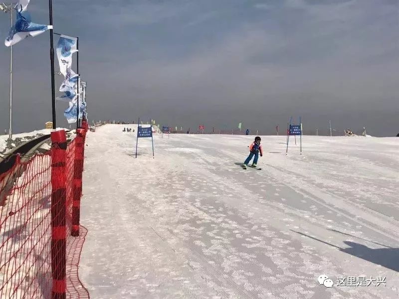 助力冰雪运动发展,全民冰雪运动会助力三亿人上冰雪