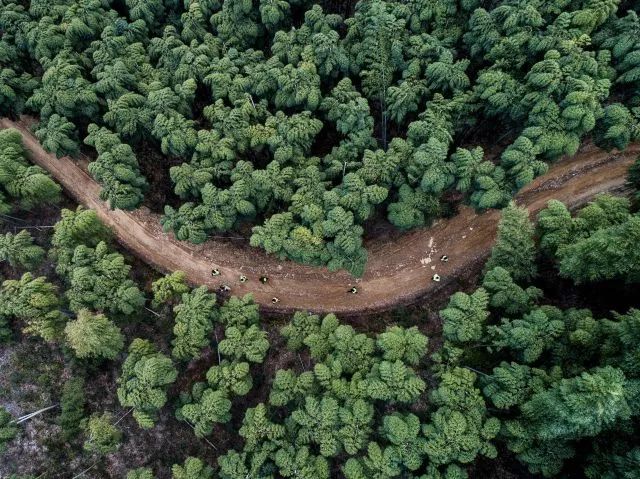 新华社年度照片,2023年新华社年度最佳照片