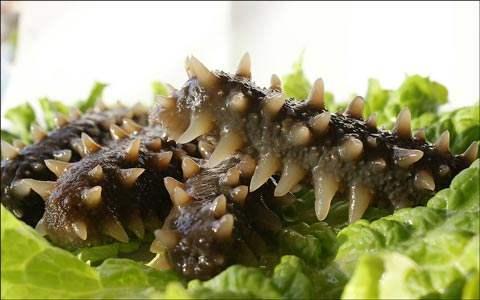 官方推荐年货!山东17市代表性农副特产都是啥?