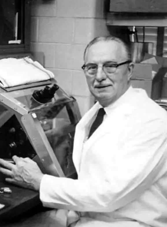 她拥有永生,靠此造福10亿人,死于癌症后,她的细胞带她重生!