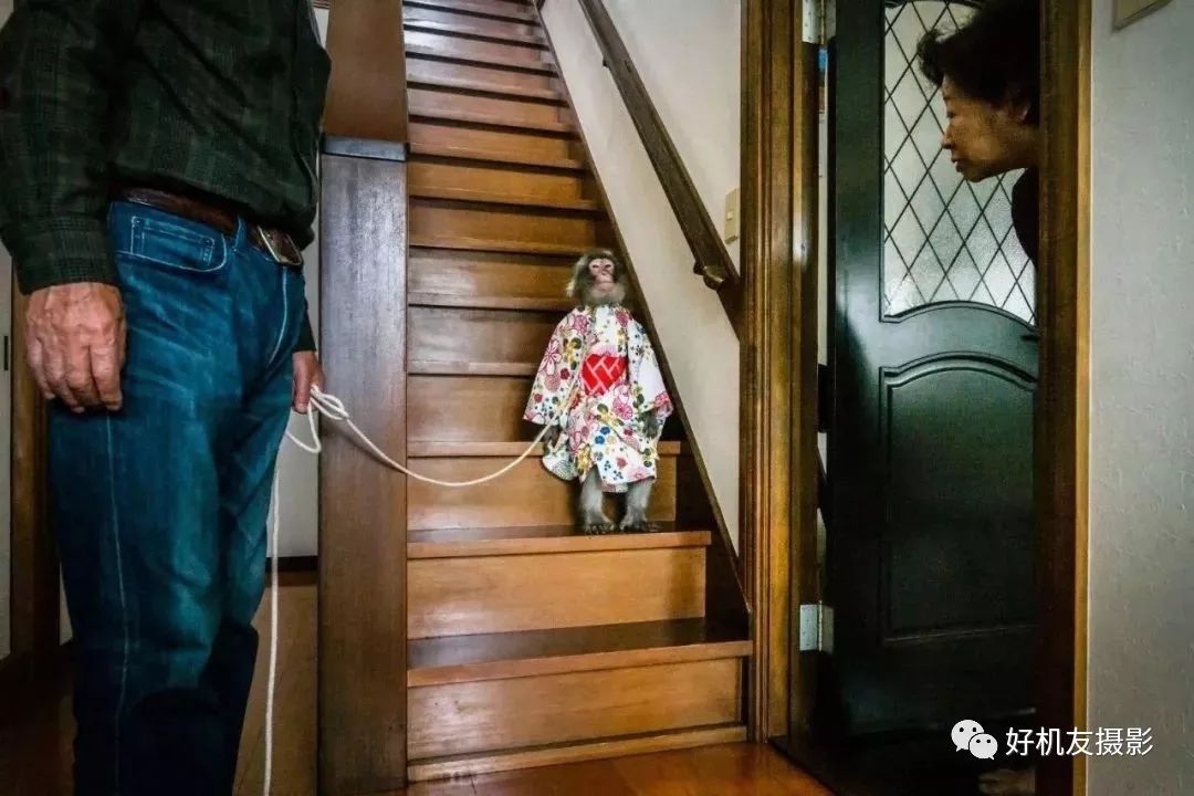 荷赛大奖作品,荷赛2022年获奖作品