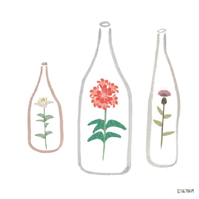 一家从警,公安民警在祖国的大江南守护团圆