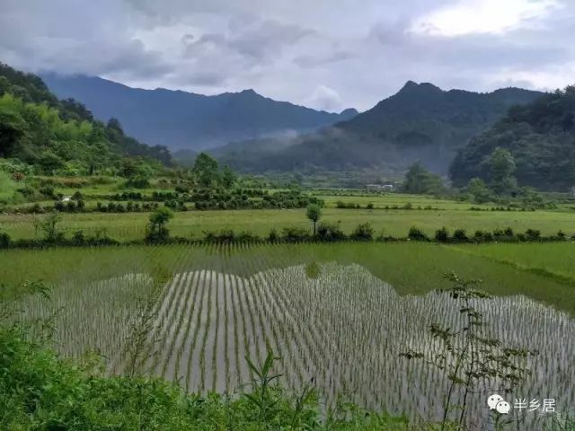 婺源民宿十佳排名婺源流苏小筑,婺源必去的三个景点民宿推荐
