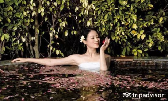 中国哪些温泉度假胜地,中国10大温泉