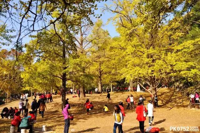 头条丨别劝了！我决定留在广西过春节，好吃又好玩，关键还不冷