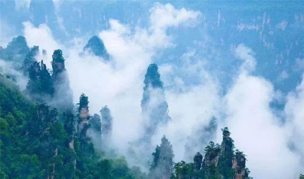 2019年什么时候考单招,有多少个省份单招政策公布了