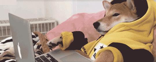 这双运动鞋竟然防水！暴雨大雪都不湿，还巨暖和