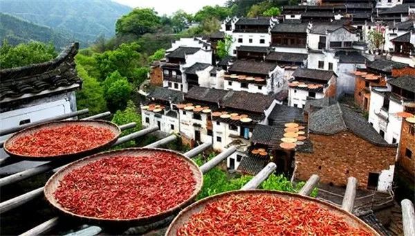 文旅融合下的旅游发展数据2021 (文旅组合拳助力旅游经济复苏)