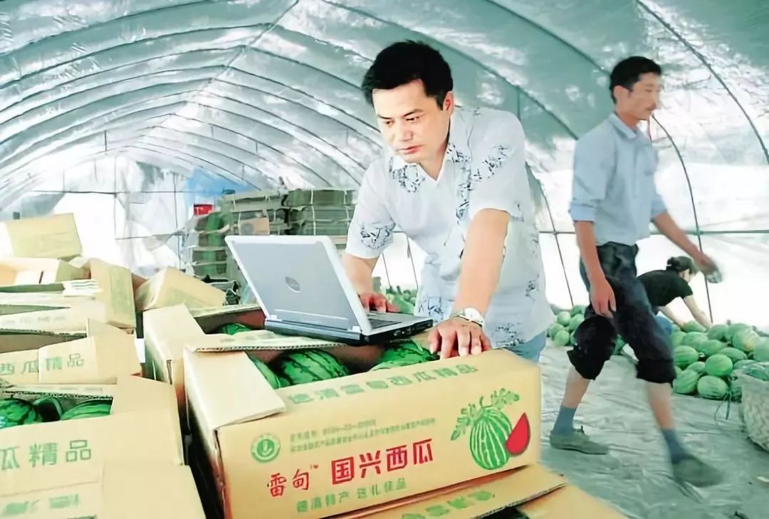 从种植到收获的感悟,从种西瓜到收西瓜需要多少天