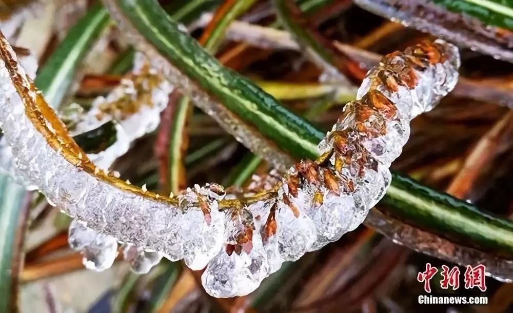 小孩小孩你别馋儿歌央视版,小孩小孩你别馋