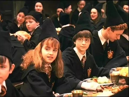 哈利波特麻瓜完整版,哈利波特麻瓜介绍