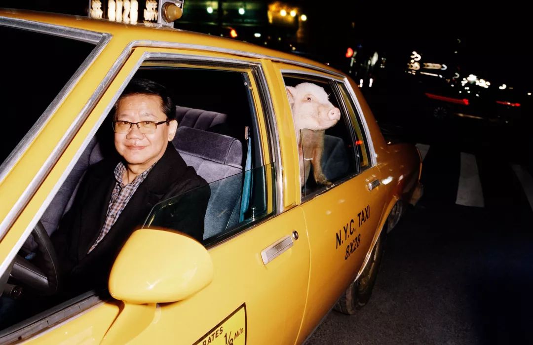 揭穿身边的骗局文章,揭穿新骗局视频