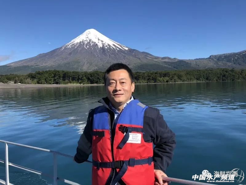 海产行业2019,2019年海洋产业